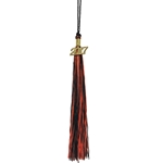 EXTRA GRADUATION TASSEL