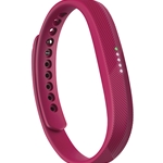 FITBIT FLEX 2