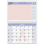 At-A-Glance QuickNotes BCA Desk/Wall Calendar