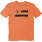 LIFE IS GOOD COOL TEE TEAM FLAG TEE