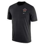 NIKE BADGE SHORT SLEEVE COTTON DRI-FIT TEE