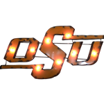 OSU ILLUMINATED METAL SIGN