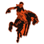 VAULT BRONC LAPEL PIN