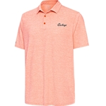 DISTRESSED STRIPE POLO