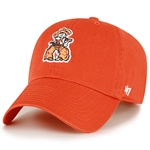 '47 VAULT CLEAN UP CAP