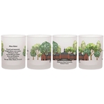 FROSTED ROCKS GLASS 14OZ