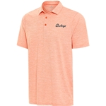 ENDLESS POLO