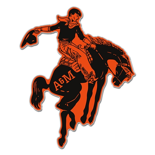 ShopOKState - VAULT BRONC LAPEL PIN