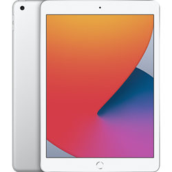 APPLE IPAD 10.2-INCH (PREVIOUS GENERATION SALE - LIMITED STOCK)