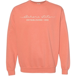 COMFORT COLOR MELON SWEATSHIRT SCRIPT