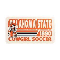 COWGIRL SOCCER RETRO STRIPE STICKER