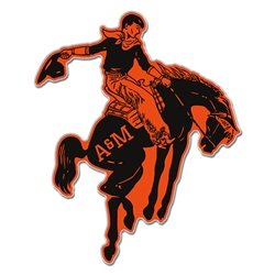 VAULT BRONC LAPEL PIN