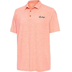DISTRESSED STRIPE POLO