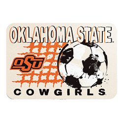 WATERCOLOR SOCCER BALL STICKER
